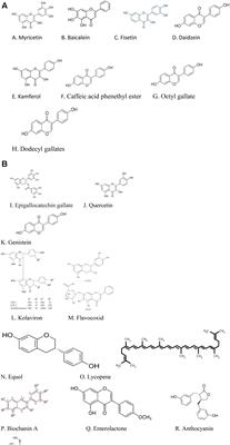 Management of Benign Prostatic Hyperplasia: Could Dietary Polyphenols Be an Alternative to Existing Therapies?